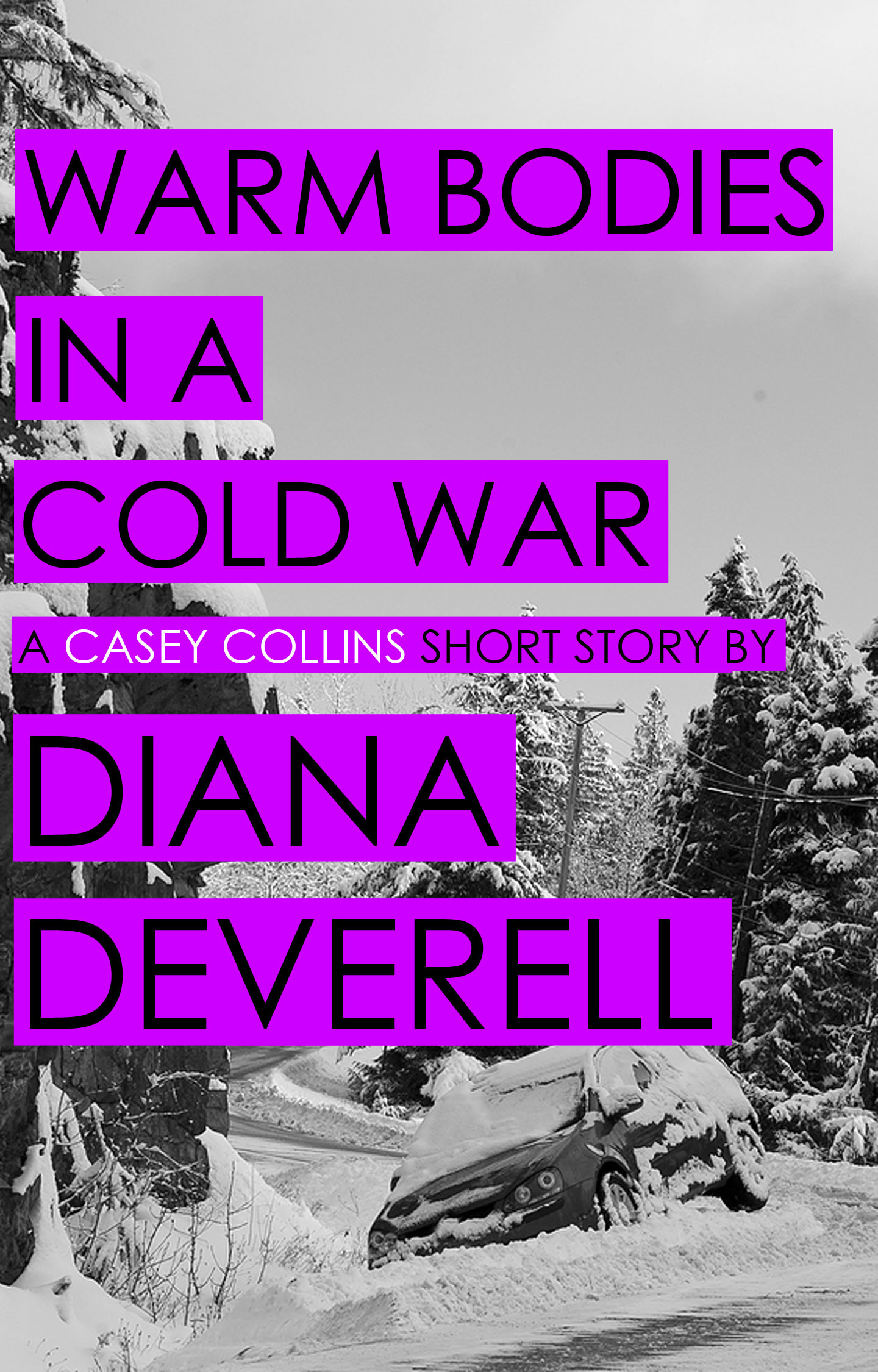 Warm Bodies in a Cold War - A Casey Collins Counterterrorism Thriller by Diana Deverell Book Cover